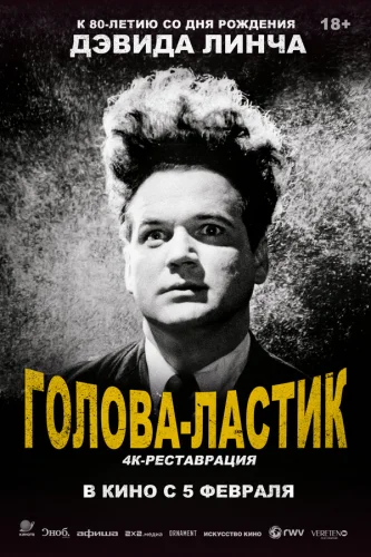  Голова-ластик 