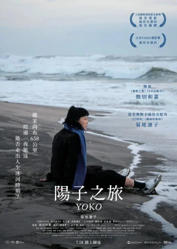  658 км, путешествие Ёко 