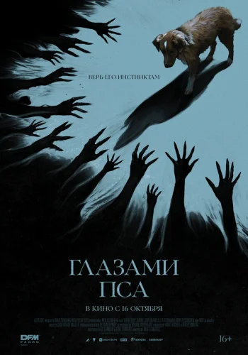  Глазами пса 