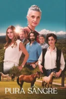 Чистая кровь